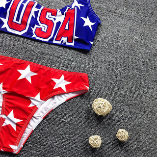 Women Independence Day Push Up High Cut V Neck Two Pieces Bikini Swimwear Alodia Store