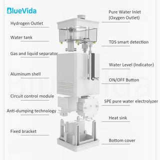 Bluevida 99.99% High Purity Hydrogen Inhalation Machine Low Noise Make Hydrogen Water H2 Inhalation Generator SPE/PEM 150ml/m alodia store