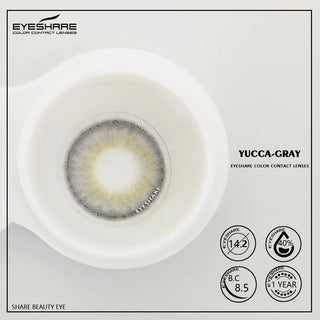 EYESHARE Color Contact Lenses for Eyes 2pcs Natural Brown Contact Lenses Gray Blue Lenses Yearly Beautiful Pupil Contact Lenses Alodia Store