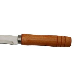 1 Piece Stainless Steel Kitchen Tools Pineapple Knife Vegetable & Fruit Peeler Coconut Mango Banana Wooden Handle Cutter Alodia Store
