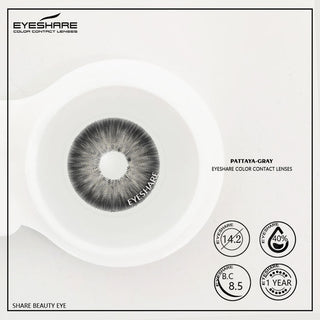 EYESHARE Color Contact Lenses for Eyes 2pcs Natural Brown Contact Lenses Gray Blue Lenses Yearly Beautiful Pupil Contact Lenses Alodia Store