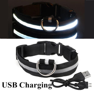 Adjustable LED Glowing Pet Collar ALODIA STORE