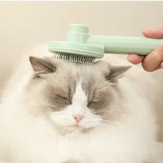 Cat Grooming Brush ALODIA STORE