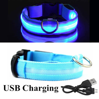 Adjustable LED Glowing Pet Collar ALODIA STORE