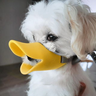 Pet Muzzle ALODIA STORE