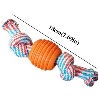 Bite Resistant Teething Rope Toy for Small and Medium Dogs ALODIA STORE