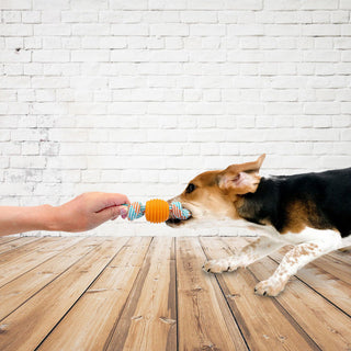 Bite Resistant Teething Rope Toy for Small and Medium Dogs ALODIA STORE