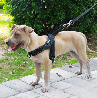 Adjustable Dog Harness ALODIA STORE