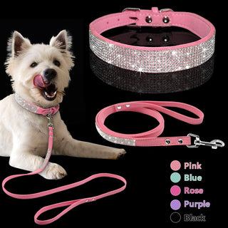 Pet Collar Leash Set ALODIA STORE