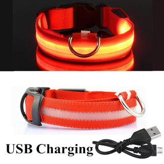 Adjustable LED Glowing Pet Collar ALODIA STORE