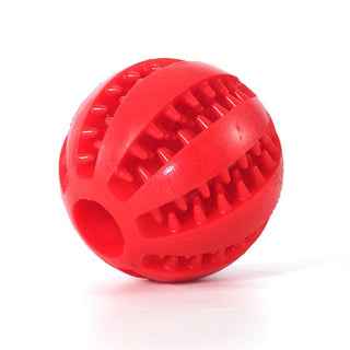 Watermelon Ball for Dog Toy ALODIA STORE