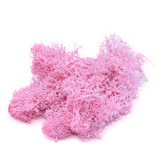 20/40g Artificial Green Plants Eternal Life Moss Grass Home Living Room Garden Decoration Mini Landscape Fake Flower DIY Crafts ALODIA STORE