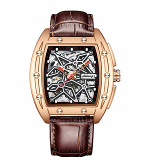 AILANG watch men's mechanical watch brand luxury automatic watch classic fashion men's waterproof watch 2021 new ALODIA STORE