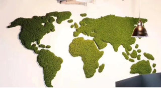 20g Artificial plant eternal life moss / Garden home decoration wall DIY Flower material Mini Garden Micro Landscape Accessories ALODIA STORE