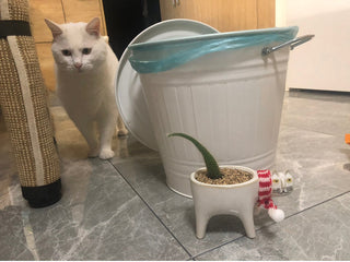 Cartoons Cat Flowerpot Animal Ceramic Flowerpot Cute Vase Cactus Succulent Plants Potted  Flower Arrangement Home Decoration ALODIA STORE