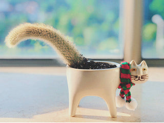 Cartoons Cat Flowerpot Animal Ceramic Flowerpot Cute Vase Cactus Succulent Plants Potted  Flower Arrangement Home Decoration ALODIA STORE