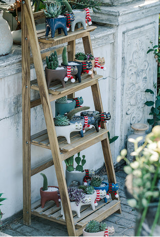 Cartoons Cat Flowerpot Animal Ceramic Flowerpot Cute Vase Cactus Succulent Plants Potted  Flower Arrangement Home Decoration ALODIA STORE