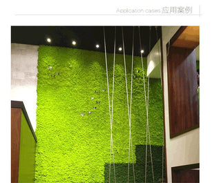 20g Artificial plant eternal life moss / Garden home decoration wall DIY Flower material Mini Garden Micro Landscape Accessories ALODIA STORE