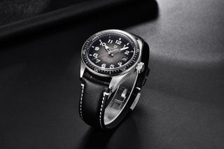 PAGANI DESIGN 2020 Fashion New Men Watch Brand Luxury Waterproof Watch Sports Business Watch Men Stainless Steel Automatic Watch ALODIA STORE