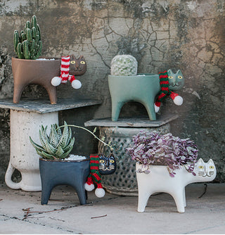 Cartoons Cat Flowerpot Animal Ceramic Flowerpot Cute Vase Cactus Succulent Plants Potted  Flower Arrangement Home Decoration ALODIA STORE