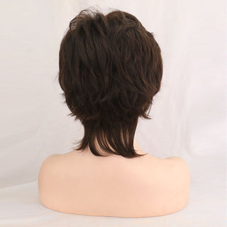 WHIMSICAL W Synthetic Women Mixed Blonde Brown Short Wigs Natural Hair Wigs Heat Resistant Hair Wig for Women ALODIA STORE