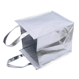 1Pcs Aluminum Foil Ice Storage Bags foldable ALODIA STORE