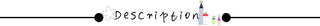 Women Thongs and G Strings Mini Thong Underwear Lace Panties Transparent Lingerie Briefs Women Sexy Adjustable Mujer ALODIA STORE