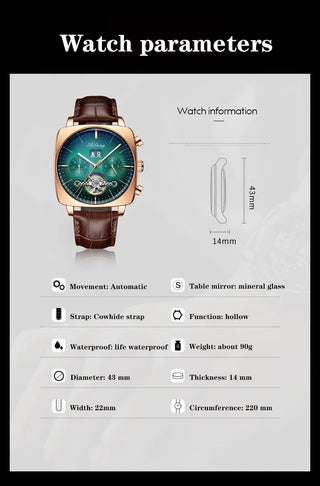 AILANG new watch men's automatic mechanical watch waterproof tourbillon black technology luminous fashion men's watch ALODIA STORE