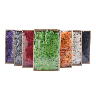 20/40g Artificial Green Plants Eternal Life Moss Grass Home Living Room Garden Decoration Mini Landscape Fake Flower DIY Crafts ALODIA STORE