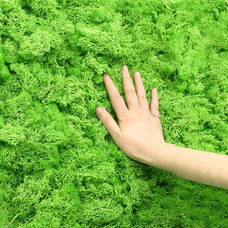 20/40g Artificial Green Plants Eternal Life Moss Grass Home Living Room Garden Decoration Mini Landscape Fake Flower DIY Crafts ALODIA STORE