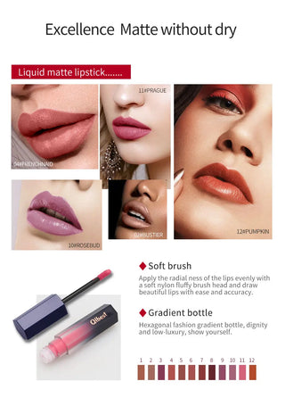 QIBEST Lip Gloss Makeup Moisturizer Waterproof 12 Colors Makeup Lipstick Long Lasting Liquid Lipstick Lip Tint Cosmetics TLSM2 - Alodia Store