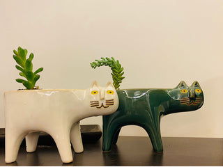Cartoons Cat Flowerpot Animal Ceramic Flowerpot Cute Vase Cactus Succulent Plants Potted  Flower Arrangement Home Decoration ALODIA STORE