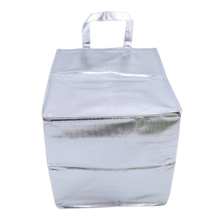 1Pcs Aluminum Foil Ice Storage Bags foldable ALODIA STORE