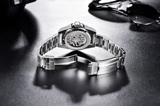 PAGANI DESIGN Stainless Steel Waterproof Mechanical Watch Top Brand Sapphire Glass Automatic Watch Luxury Business Men Watch ALODIA STORE