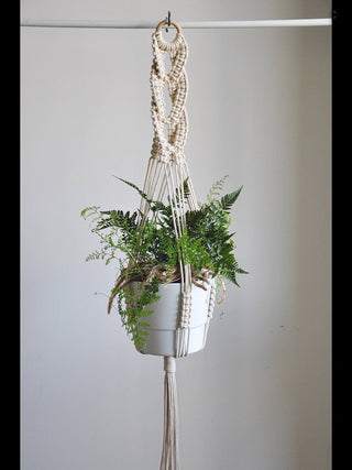 good quality plant hanger pot hanging for home garden macrame plant hanger for bacony pot hanging indoor ALODIA STORE
