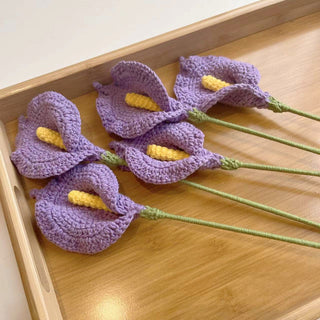 Big Macrame Hanging Planter Hanging Pot Plant Pot Macrame Plant Hangers Air Plant Holder Plant Hanging Decoration ALODIA STORE