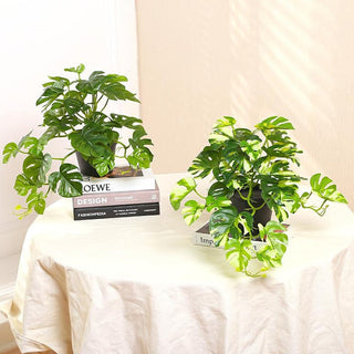 1PC Artificial Plants Green Turtle Leaves Simulation Turtle Back Leaf Tropical Wedding Party Table Living Room Home Garden Decor ALODIA STORE