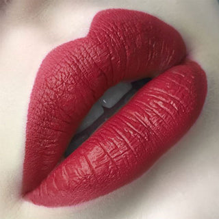 Colors Matte Lipstick High Gloss Crayons Long ALODIA STORE