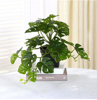 1PC Artificial Plants Green Turtle Leaves Simulation Turtle Back Leaf Tropical Wedding Party Table Living Room Home Garden Decor ALODIA STORE