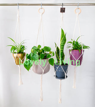 Big Macrame Hanging Planter Hanging Pot Plant Pot Macrame Plant Hangers Air Plant Holder Plant Hanging Decoration ALODIA STORE