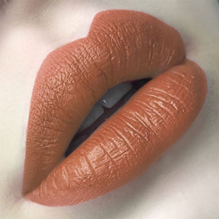 Colors Matte Lipstick High Gloss Crayons Long ALODIA STORE