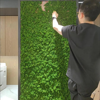 40g Simulation Artificial Moss Green Eternal Life Moss Grass Fake Plant For Home Wall Decor Garden Micro Landscape Material Gift ALODIA STORE