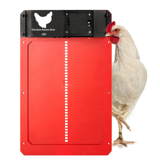 Automatic Chicken Coop Door ALODIA STORE