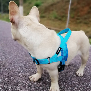 Adjustable Dog Harness ALODIA STORE