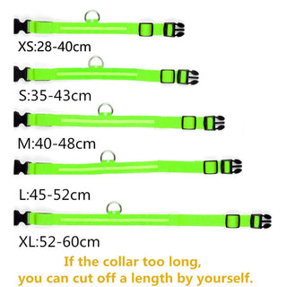 Adjustable LED Glowing Pet Collar ALODIA STORE
