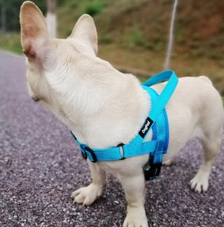 Adjustable Dog Harness ALODIA STORE