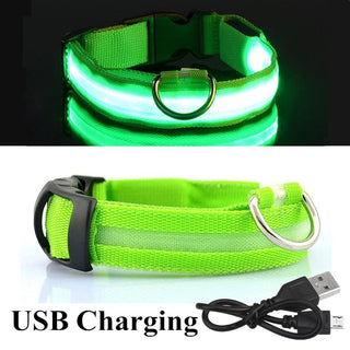 Adjustable LED Glowing Pet Collar ALODIA STORE