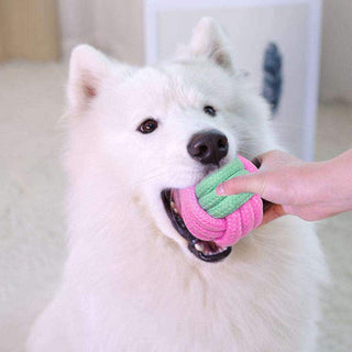 Pet Dog Chew Toys ALODIA STORE