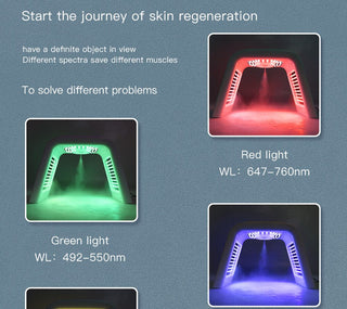 7 Colors LED Facial Mask PDT Light Therapy ALODIA STORE