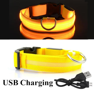 Adjustable LED Glowing Pet Collar ALODIA STORE